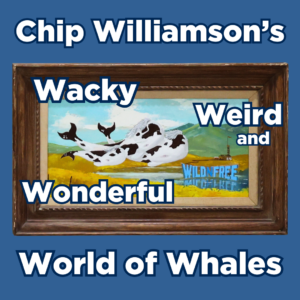 The Wacky, Weird, and Wonderful World of Whales